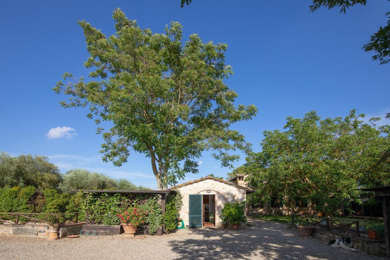 Fontemaggio Apartman Colle Val D'Elsa Kültér fotó